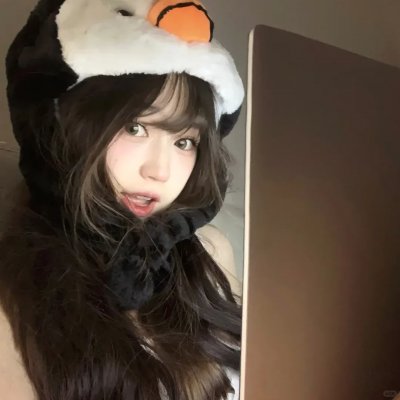 布公仔之金银岛